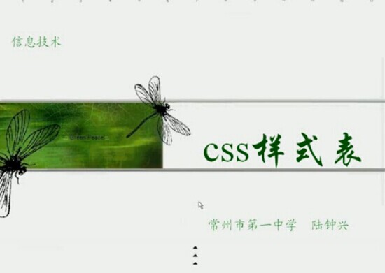 点击观看《CSS样式表》