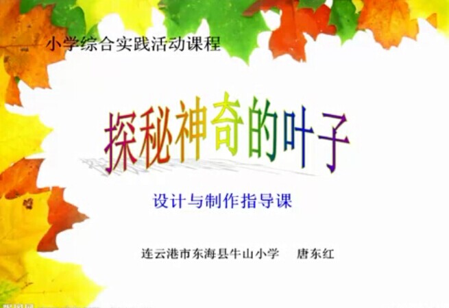 点击观看《探秘神奇的叶子》