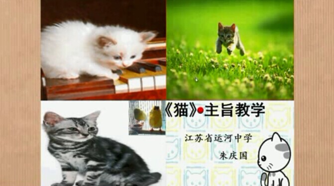 《猫》•主旨教学