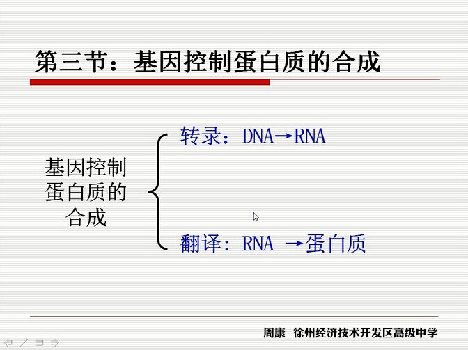 点击观看《基因控制蛋白质的合成》