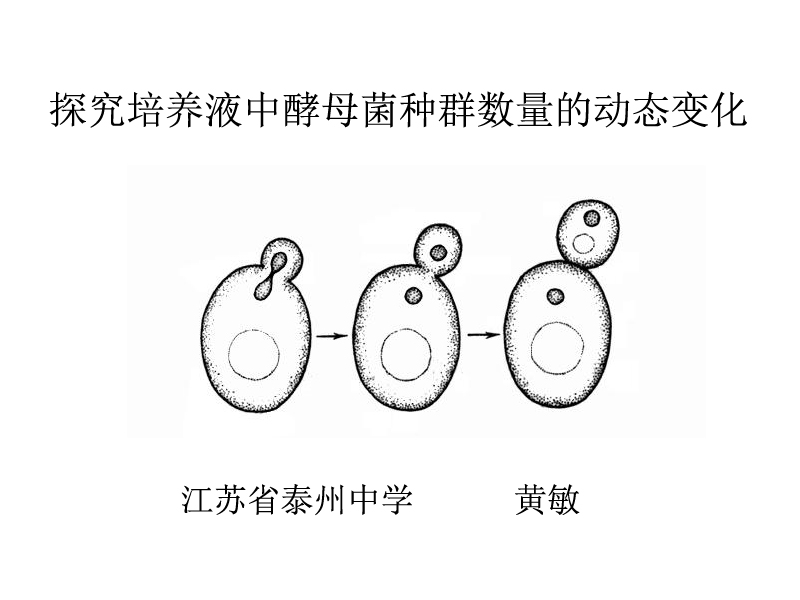 探究培养液中酵母菌种群数量的动态变化