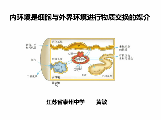 内环境是细胞与外界环境进行物质交换的媒介