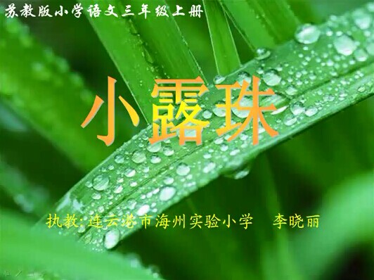 点击观看《小露珠》