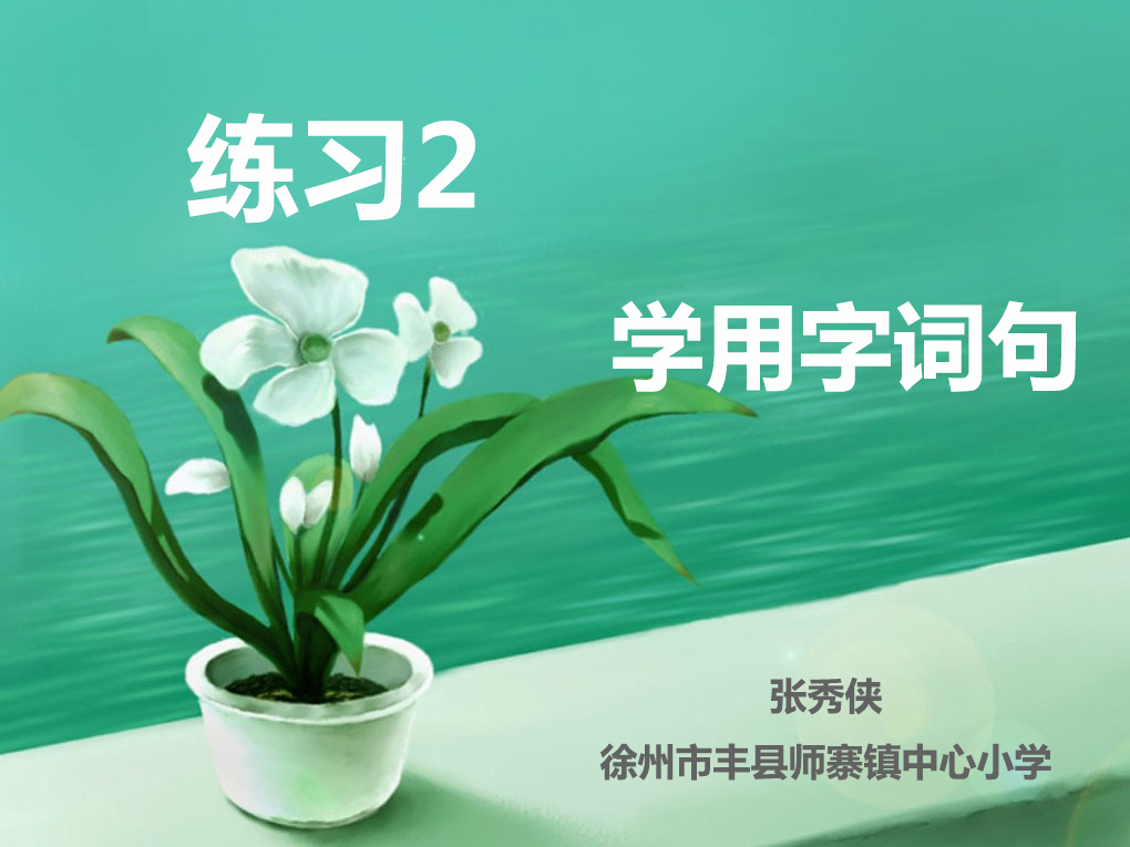 点击观看《练习2 学用字词句》