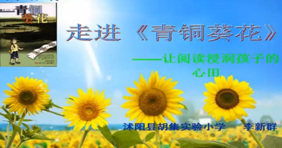 走进《青铜葵花》